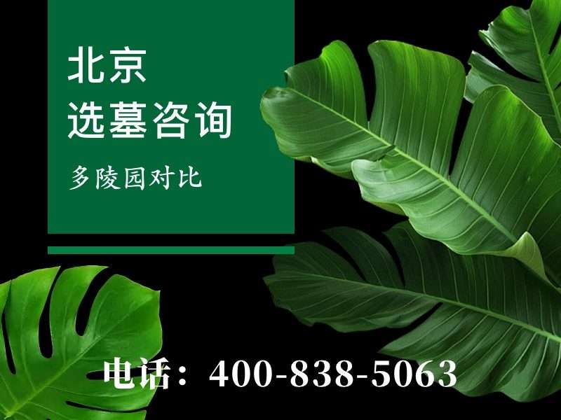华人怀思堂VS九公山纪念林：谁更胜一筹？
